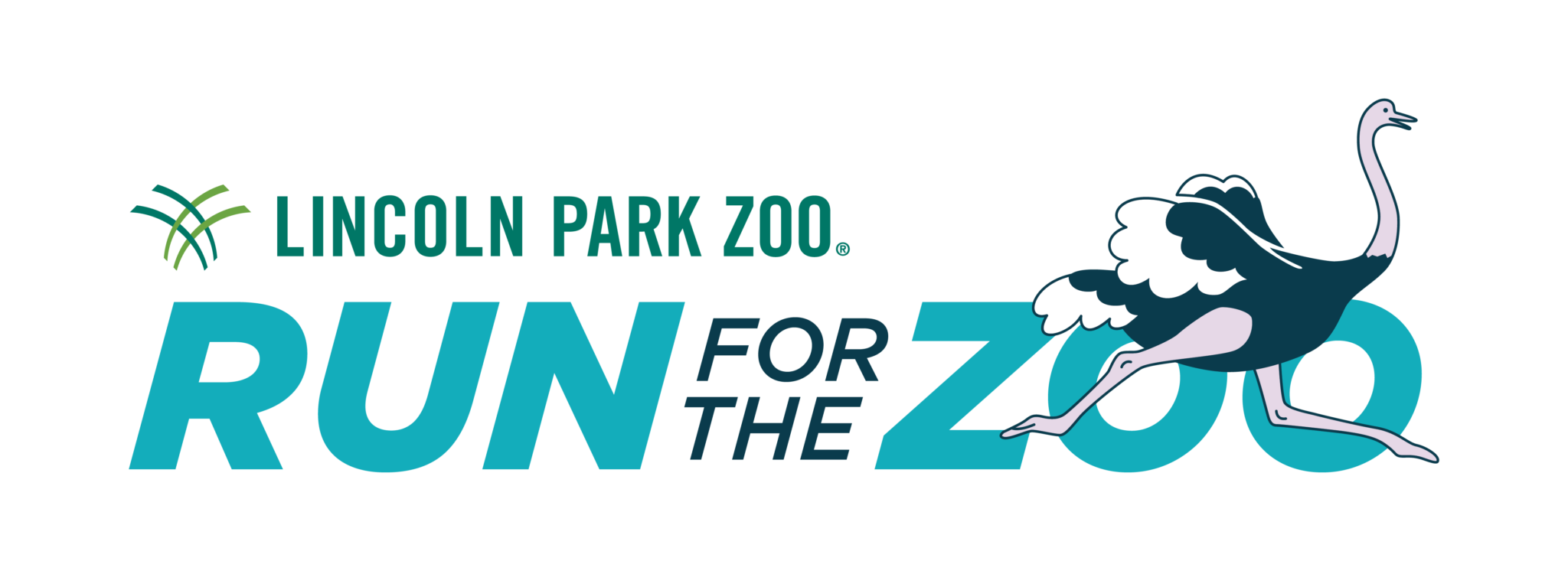 Lincoln Park Zoo Run for the Zoo Virtual 10k A BibRavePro Review