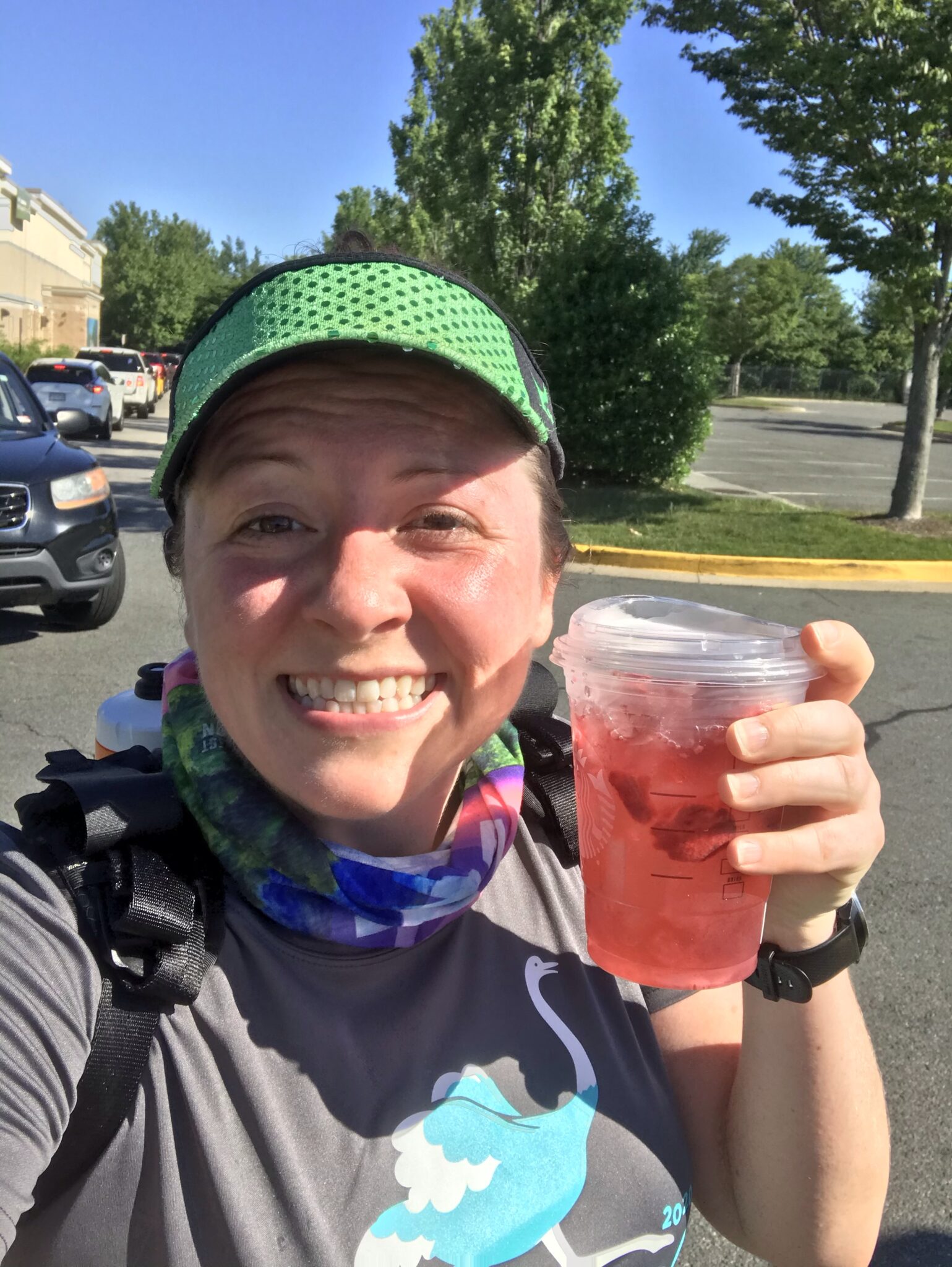 lincoln-park-zoo-run-for-the-zoo-virtual-10k-a-bibravepro-review