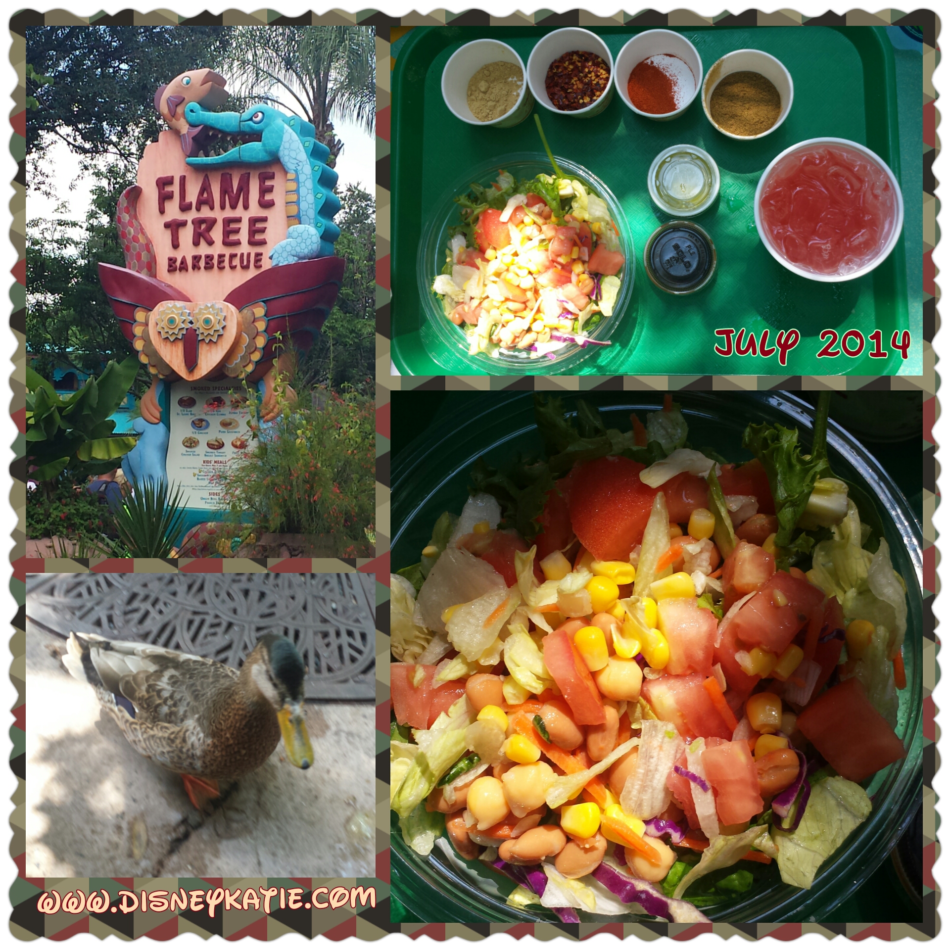 Vegan & Gluten-free at Disney's Animal Kingdom - Flame Tree Barbecue -  Adventures By Katie