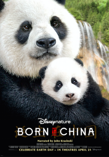 borninchina