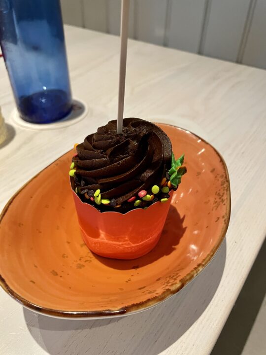 allergy cupcake with chocolate frosting