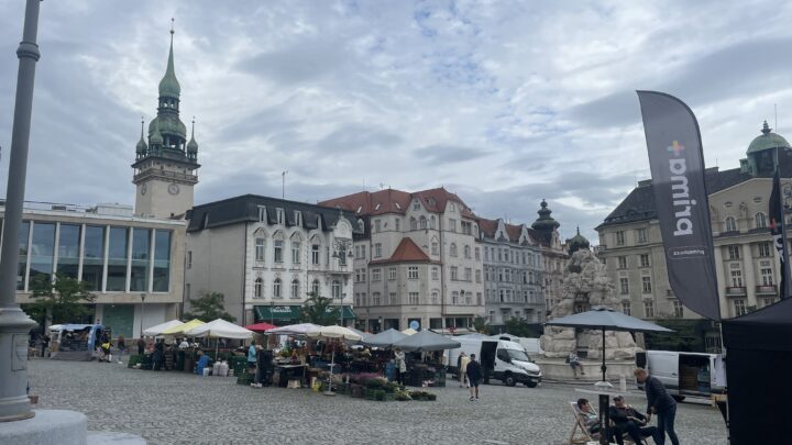 brno cabbage market